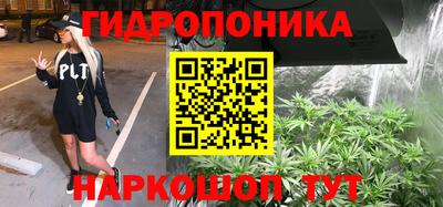 a pvp Ачхой-Мартан