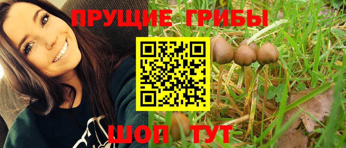 Галлюциногенные грибы прущие грибы  Вход с VPN  купить наркотики сайты  Галлюциногенные грибы мицелий  Дятьково 